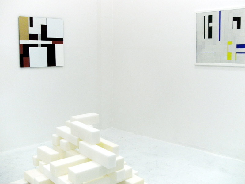 Sandra Poppe - Installation / 2011